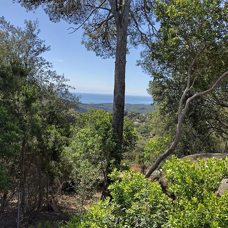 Casa Feliz Villa Sant Cebrià de Vallalta Екстериор снимка