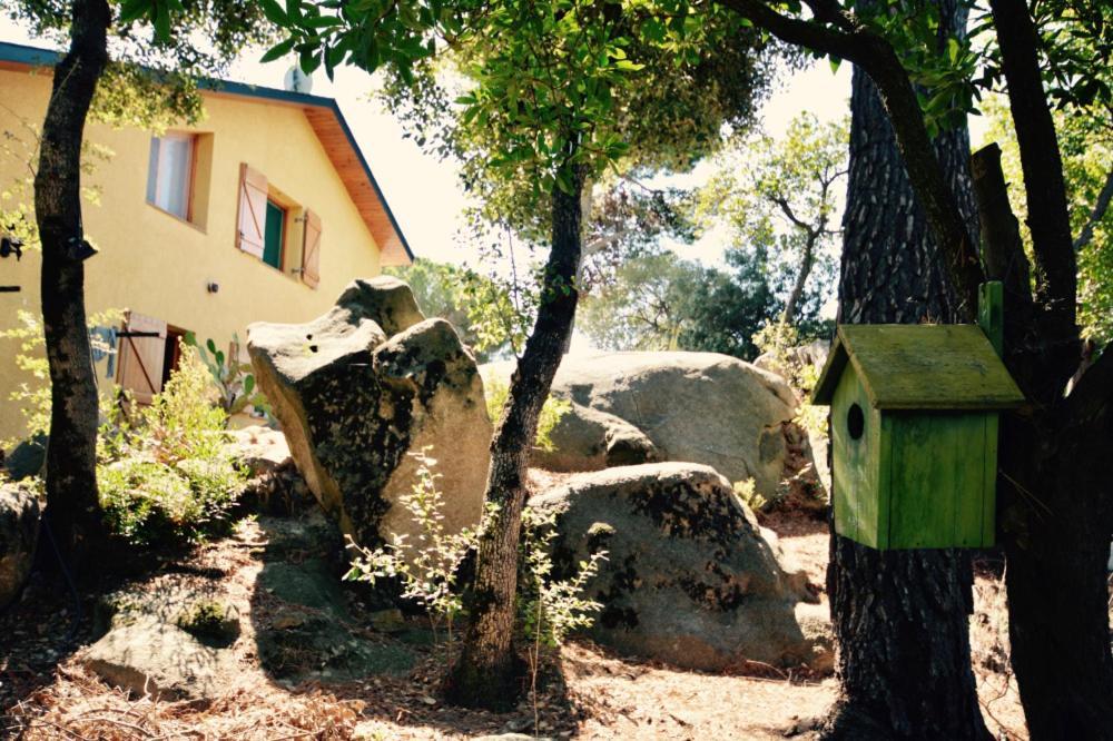 Casa Feliz Villa Sant Cebrià de Vallalta Екстериор снимка