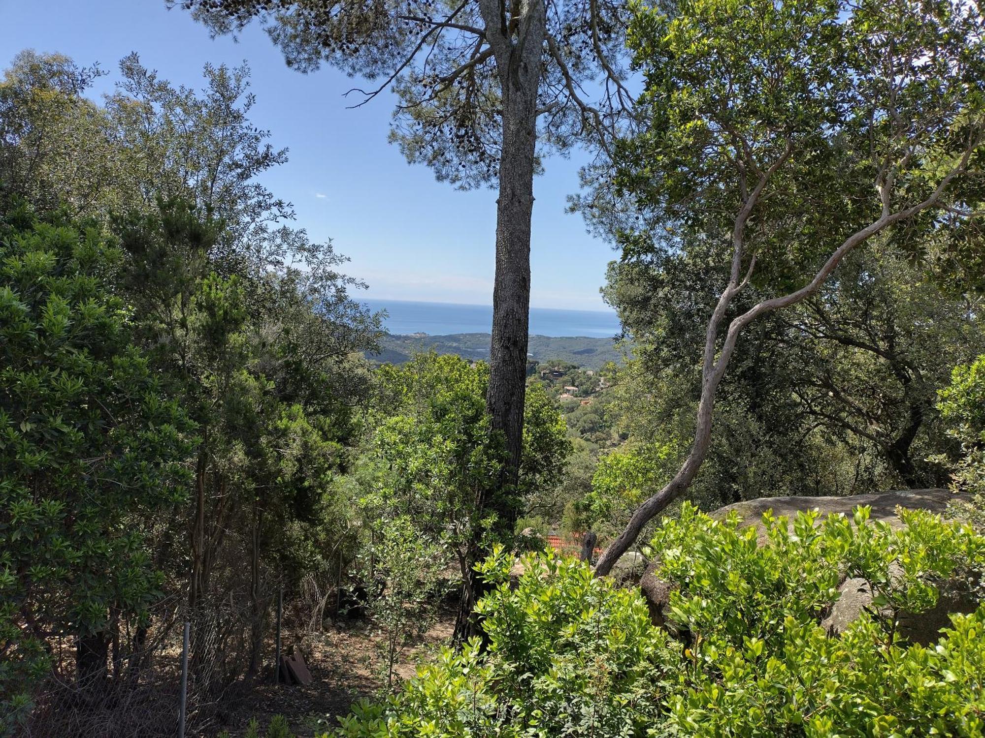 Casa Feliz Villa Sant Cebrià de Vallalta Екстериор снимка