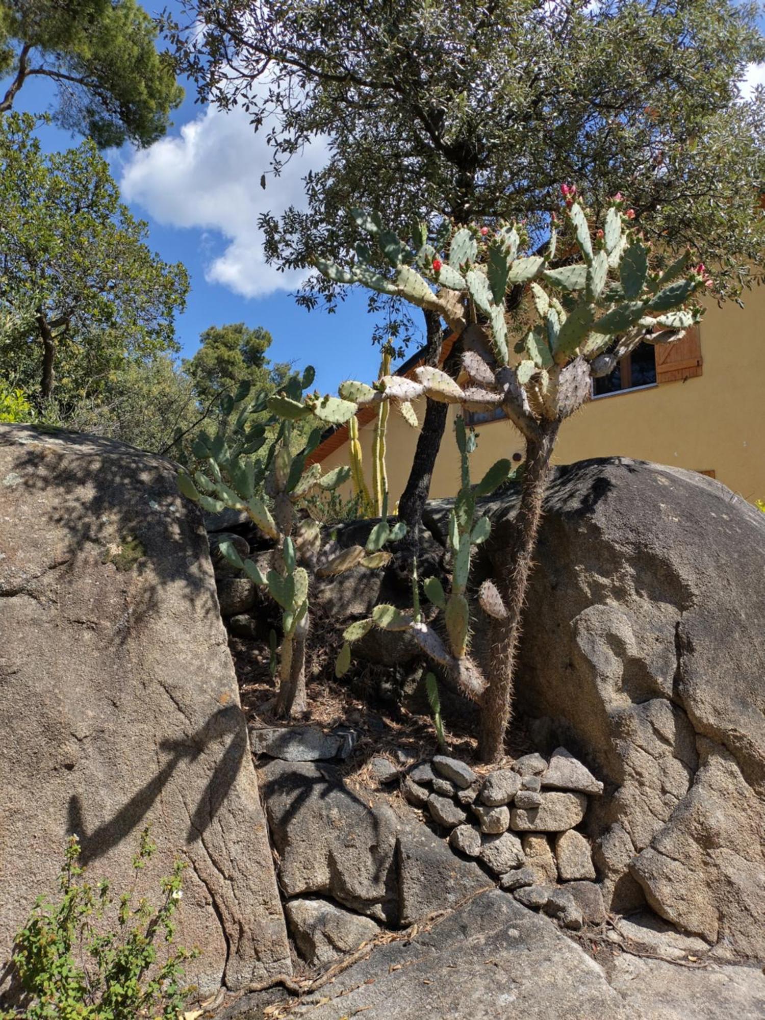 Casa Feliz Villa Sant Cebrià de Vallalta Екстериор снимка