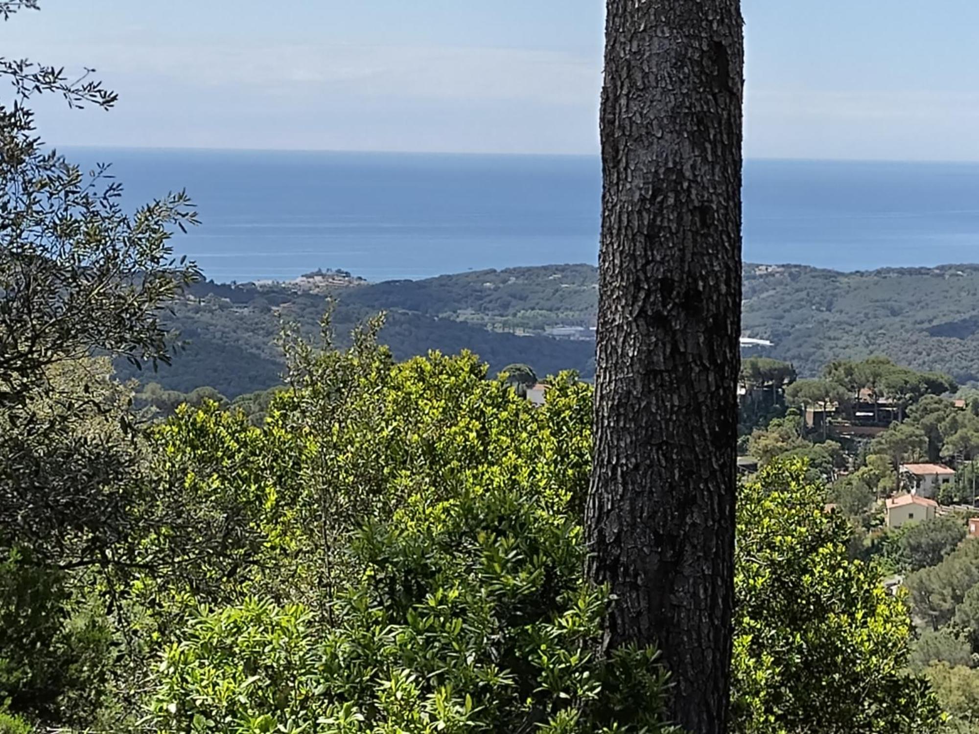 Casa Feliz Villa Sant Cebrià de Vallalta Екстериор снимка